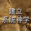 建立系统神学 cover art