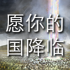 愿你的国降临：末世论 cover art